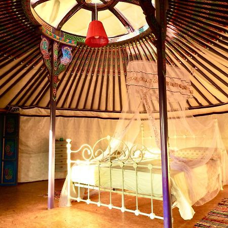Exclusive Nirvana Yurts Glamping Kato Drys Ngoại thất bức ảnh