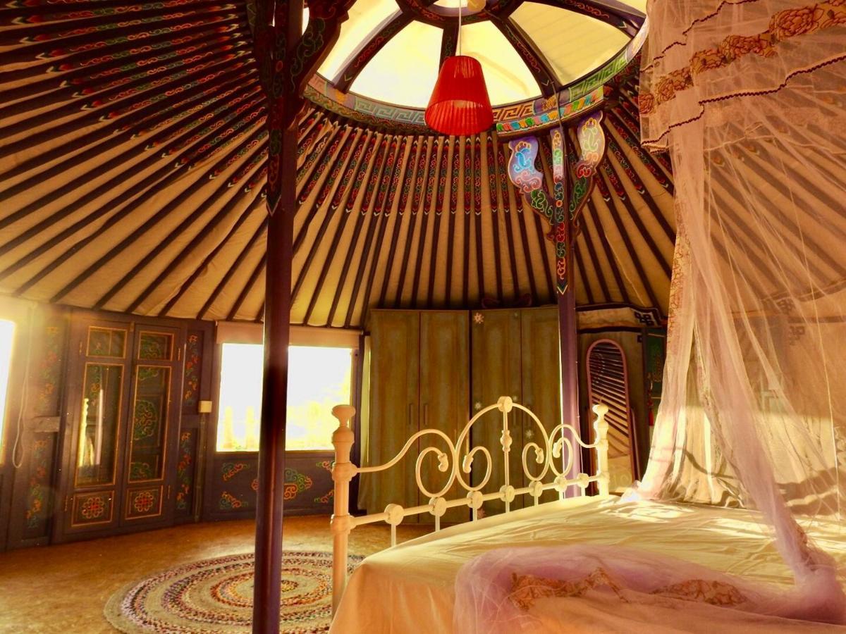 Exclusive Nirvana Yurts Glamping Kato Drys Ngoại thất bức ảnh