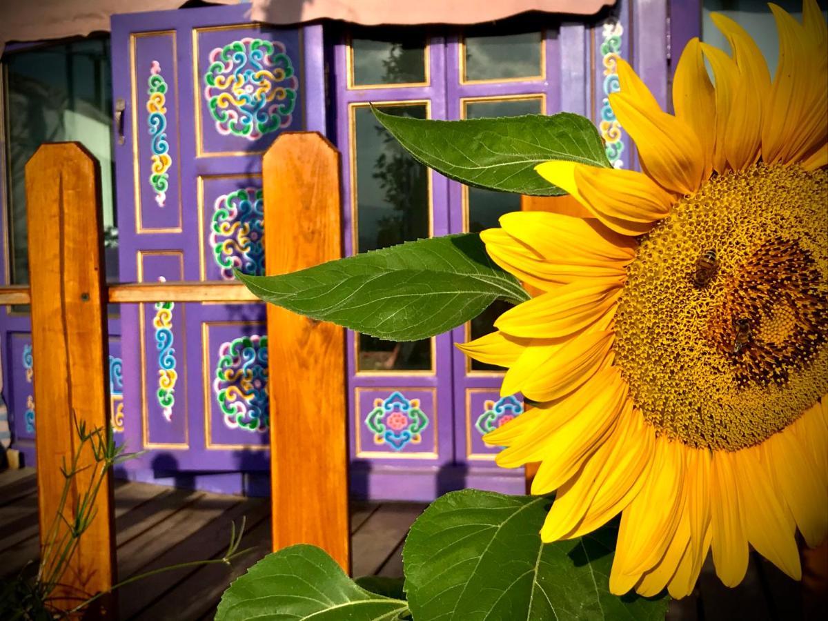 Exclusive Nirvana Yurts Glamping Kato Drys Ngoại thất bức ảnh